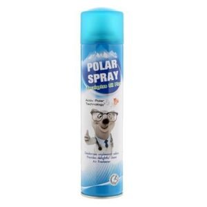 สเปรย์ปรับอากาศ POLAR  280ml EUCALYPTUS